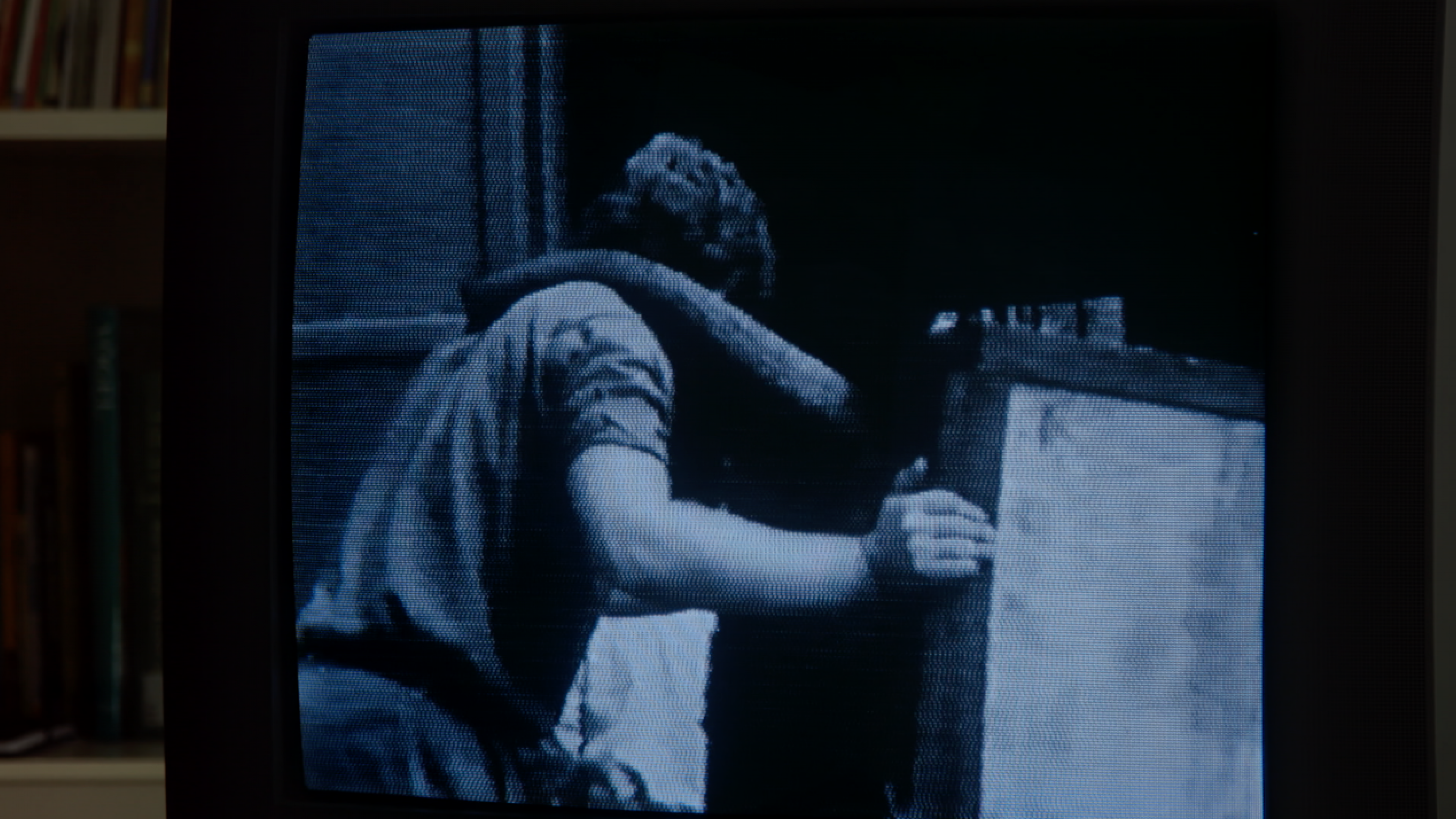 Bild von einem Monitor, auf dem ein Elefantenrüssel auf der Schulter eines Mannes ruht.