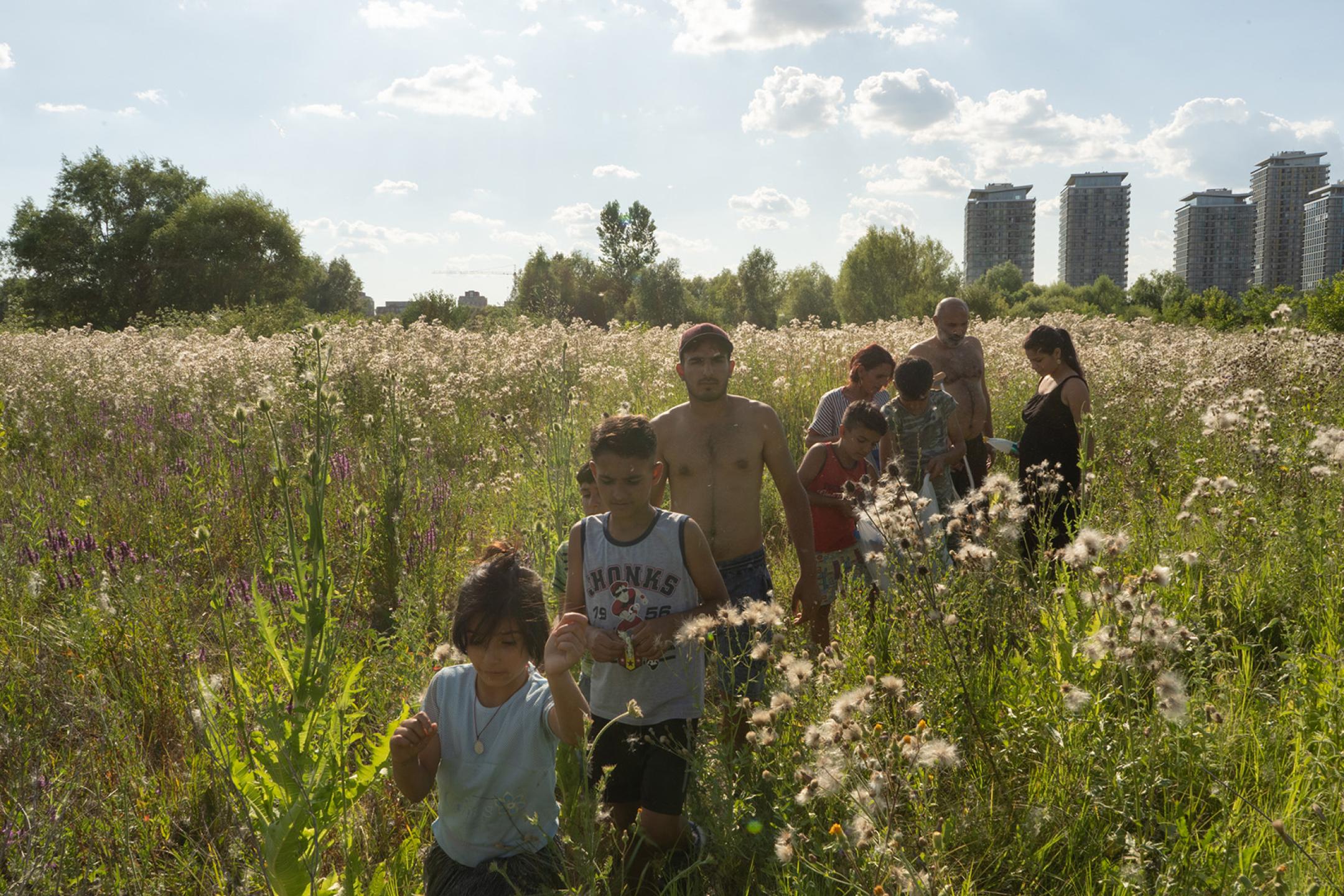 A family with seven children of different age is strolling through a big meadow during summertime. In the background you can see huge apartment houses.