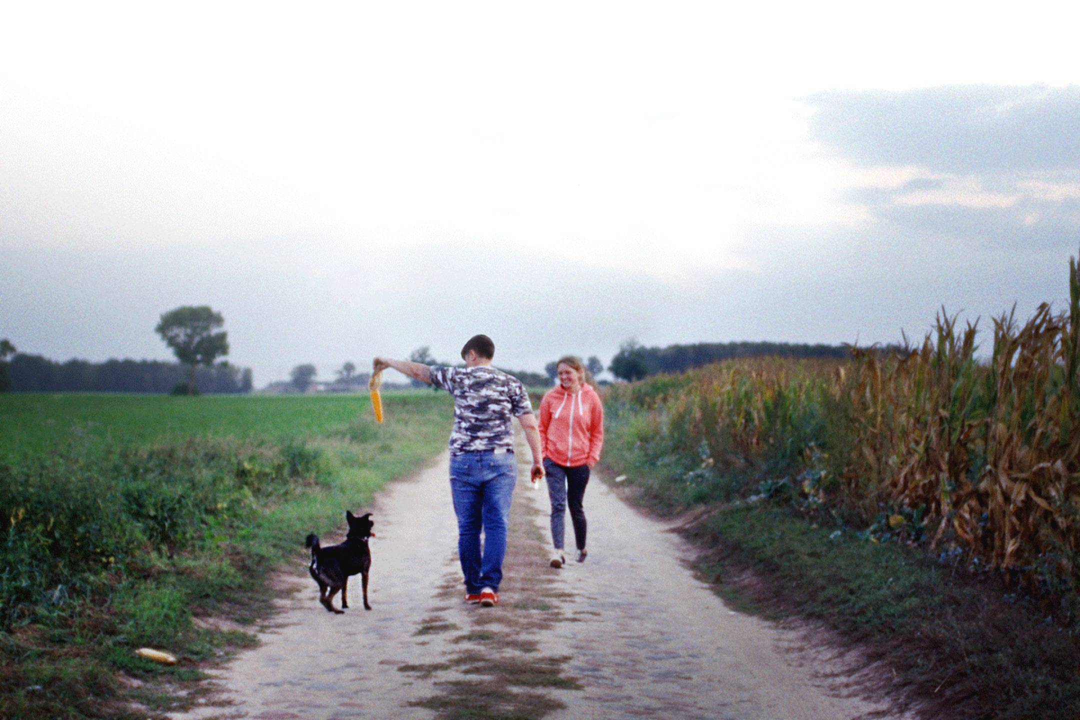 Auf einem Sandweg zwischen einer grünen Wiese und einem Maisfeld gehen zwei Frauen mit einem Hund spazieren. Eine der Frauen hält einen Maiskolben hoch, der Hund setzt zu einem Sprung danach an.