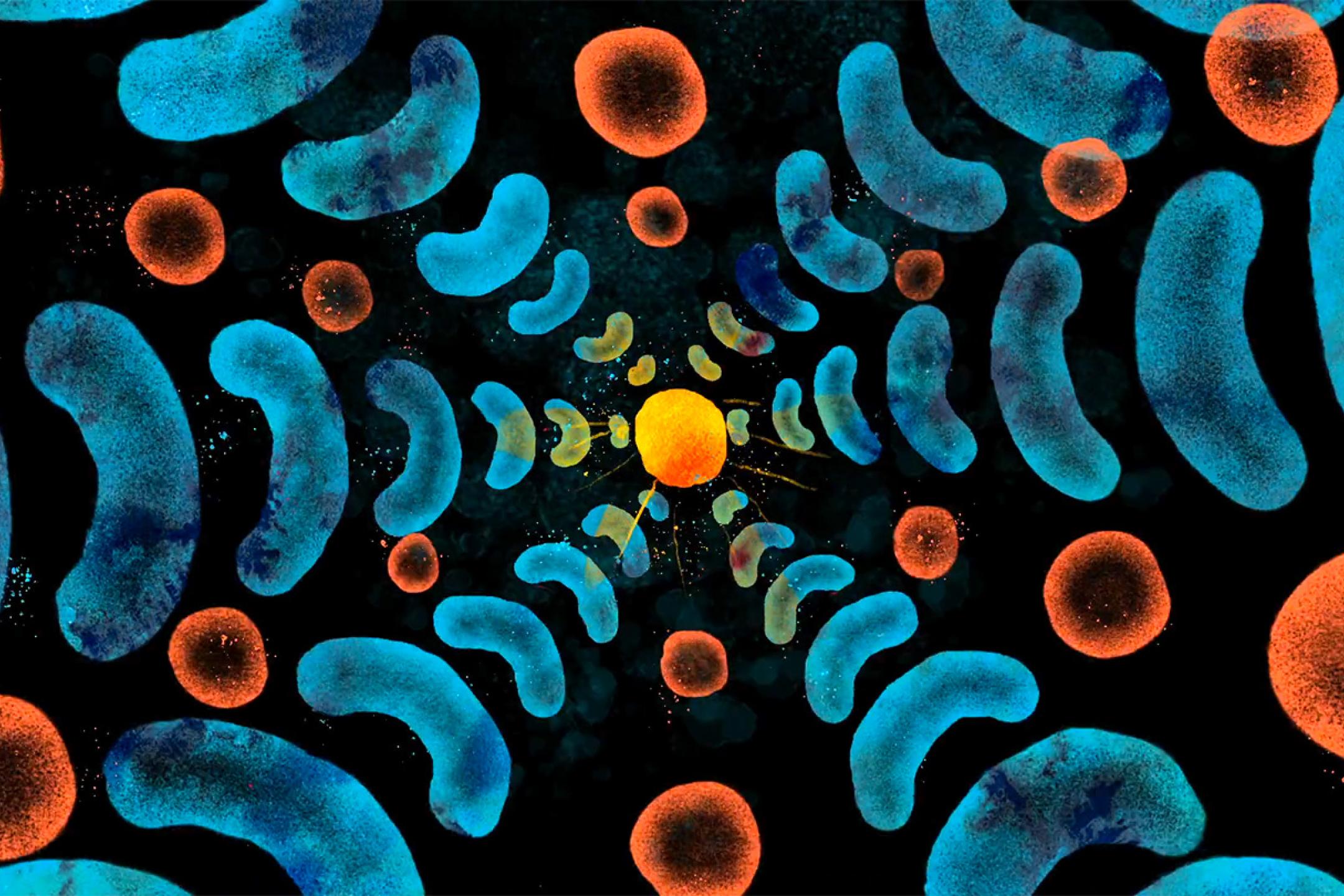 Abstrakte Kreise und Hörnchenformen in blau, rot und gelb