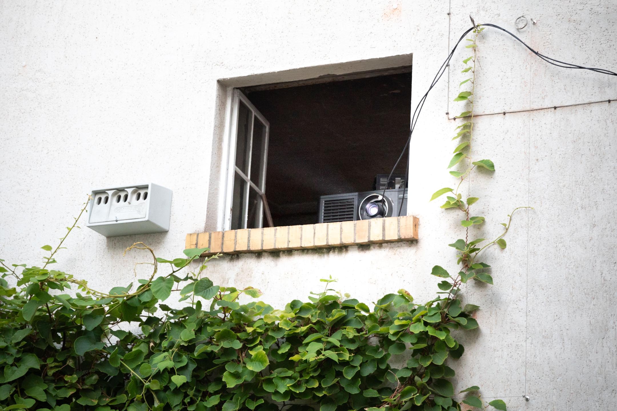 Ein Beamer steht in einem geöffneten Fenster, darunter ranken sich grüne Blätter die Hauswand hoch. 