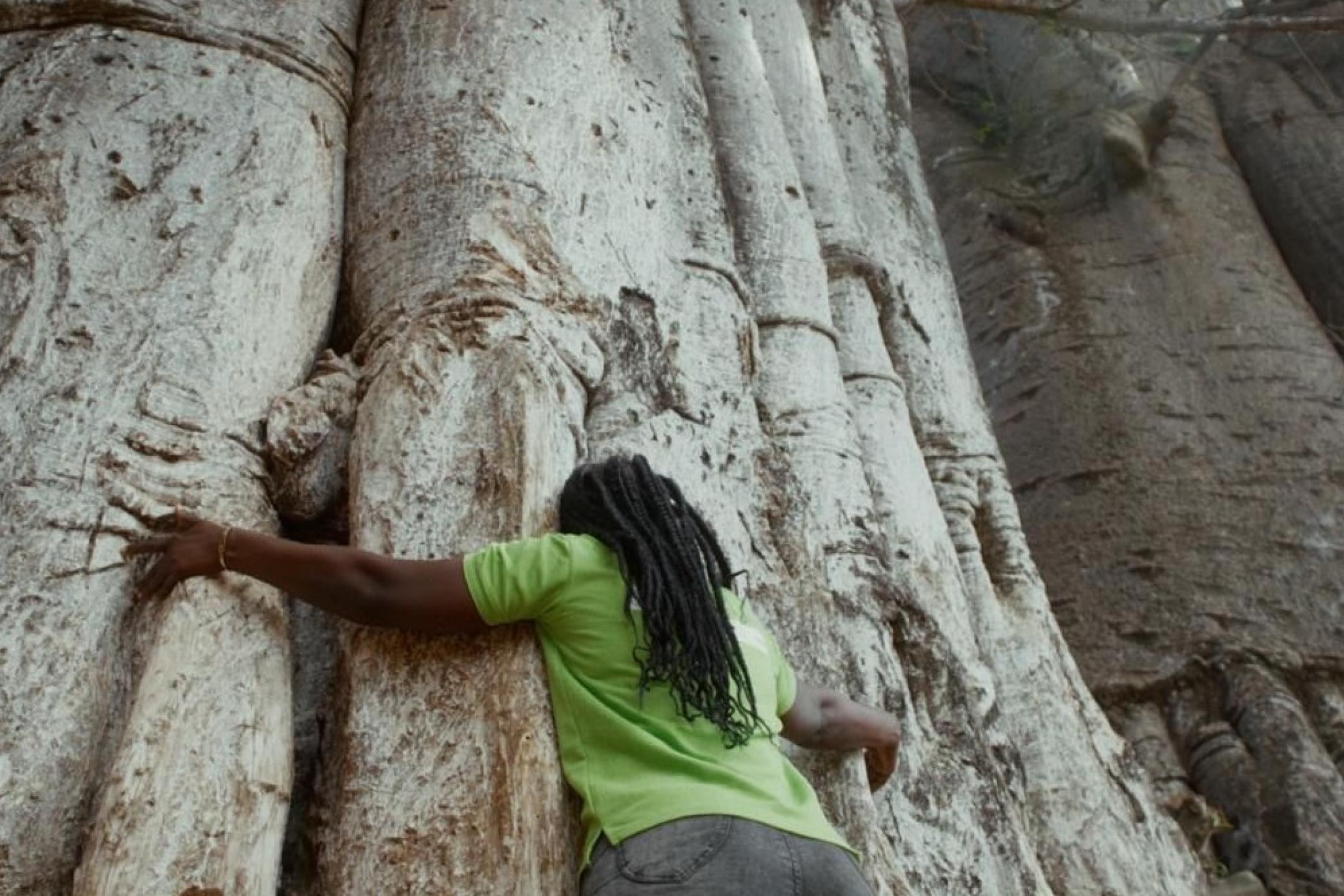A man with long dreadlocks hugging a huge tree
