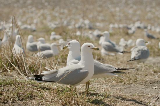 Filmstill The Inheritors
