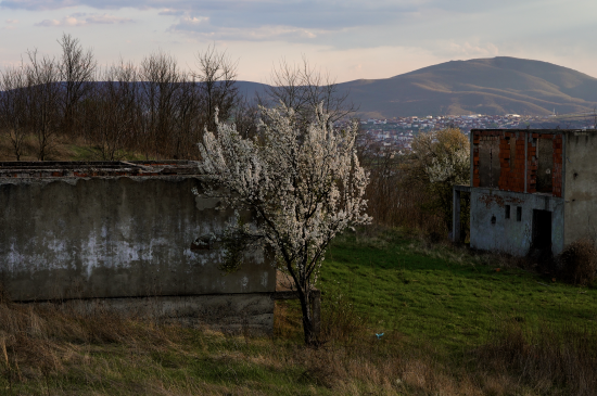 Filmstill The Divided City of Mitrovica