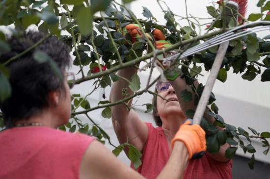 Filmstill The Impossibility of Showing What Should Never Have Happened