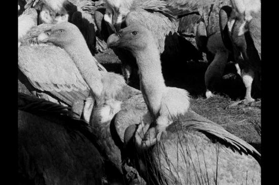 Filmstill Unstable Rocks