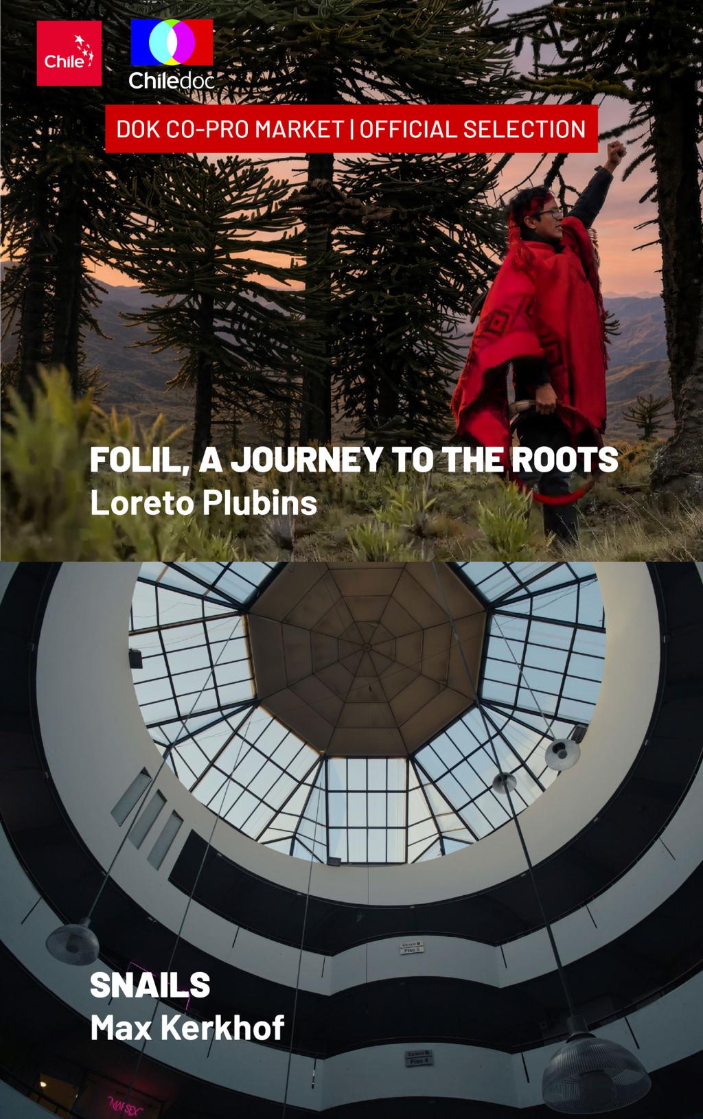 Two film stills of Folil, a journey to the roots and Snails, two projects in the DOK Co-Pro Market selection, plus the chiledoc logo