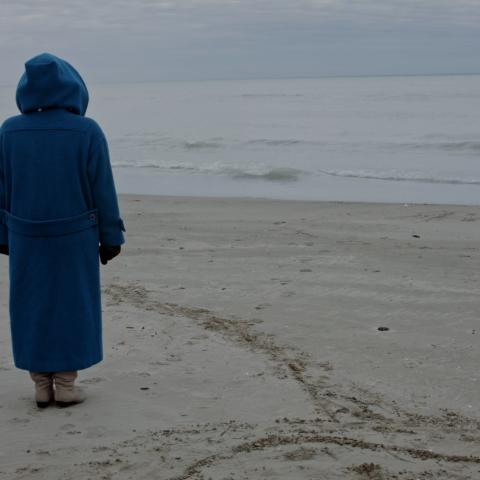 A person in a long blue coat with a hood is seen from behind. She stands on an empty beach and looks at the sea. The sky is grayish, it looks autumnal.