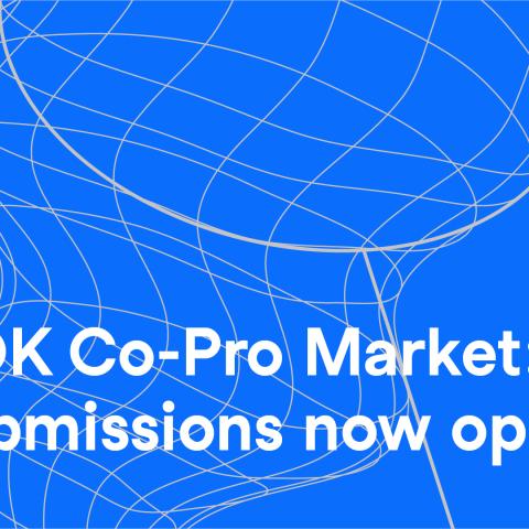 Textgrafik: Über der Illustration eines Keschers in weiß und blau steht: "Dok Co-Pro Market: Submissions now open