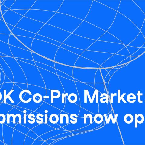Textgrafik: Über der Illustration eines Keschers in weiß und blau steht: "Dok Co-Pro Market: Submissions now open