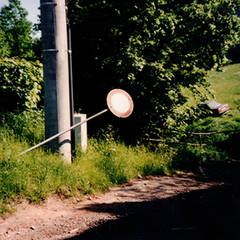 Eine sommerliche Landschaft mit einem umgefallenen "Durchfahrt verboten" Schild, im Hintergrund ist ein Auto zu sehen 