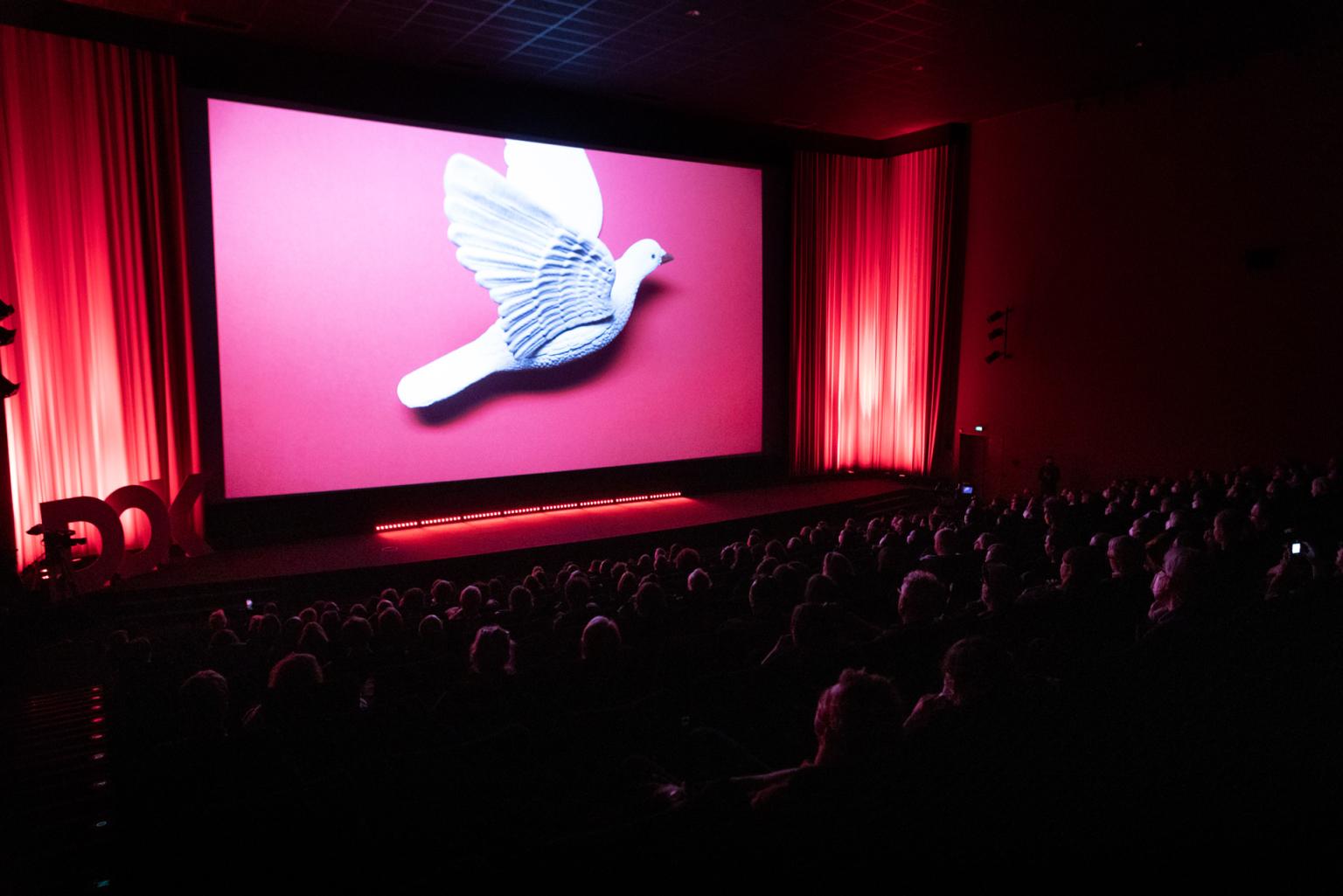 A crowded cinema hall during a film screening. On the screen flies a big white dove on pink background.