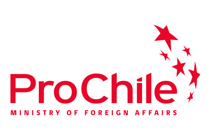 Prochile Logo Delegation