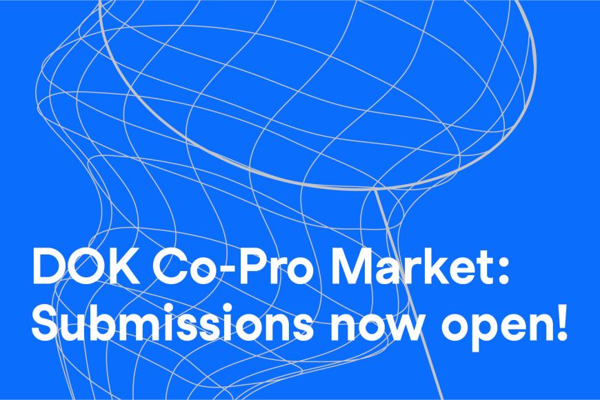 Textgrafik: Über der Illustration eines Keschers in weiß und blau steht: "Dok Co-Pro Market: Submissions now open