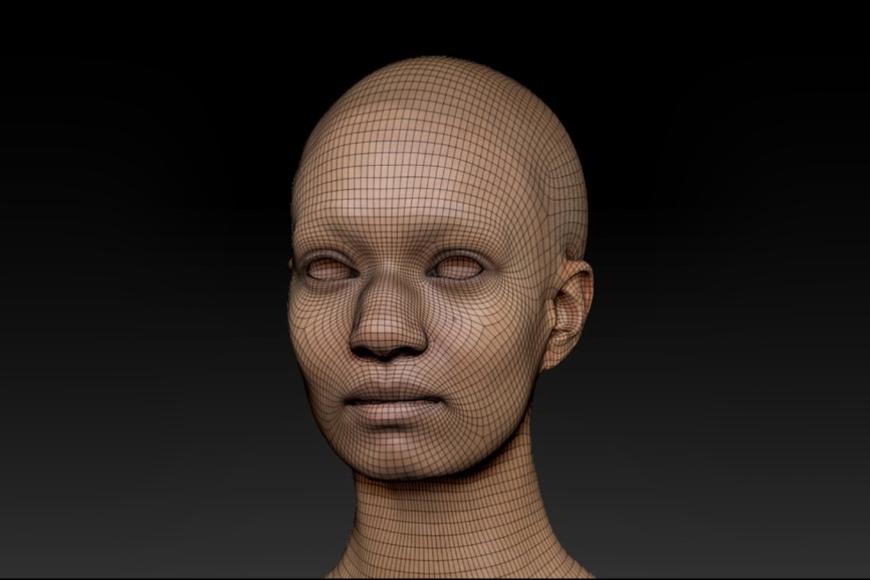 Ein computergerastertes Gesicht.