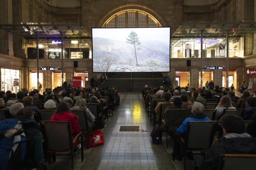In der Osthalle des Leipziger Hauptbahnhofs sitzen Menschen in Sitzreihen und schauen auf eine große Leinwand, die von der Decke hängt. Auf der Leinwand ein Baum in einer kargen Landschaft.
