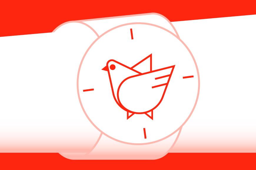 Illustration einer Armbanduhr. Statt Zeigern ist eine große Taube in der Mitte.