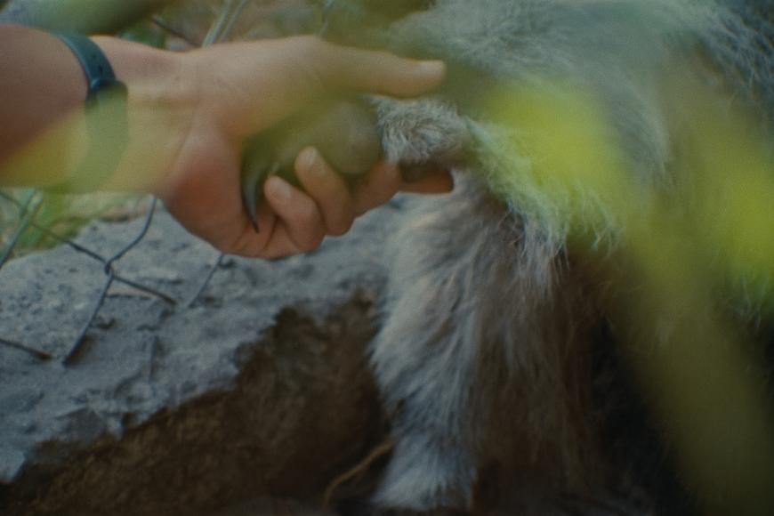 Filmstill Collective Monologue