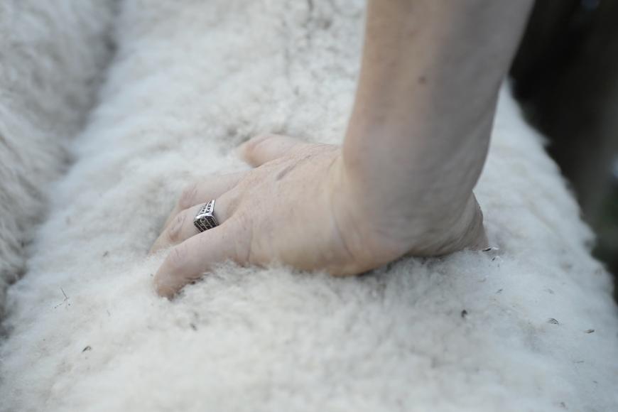 Media Name: 12a18577-68f0-4090-bd0a-069821a4a770.jpg