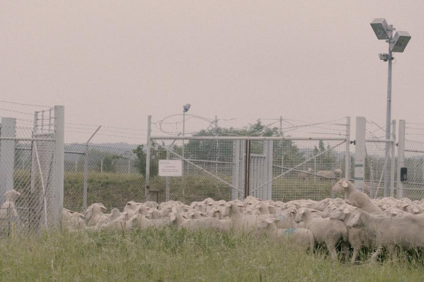 Media Name: 12ee2317-d4d9-493d-b8c0-91b35cd13752.jpg