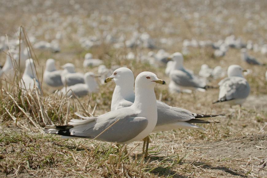 Filmstill The Inheritors