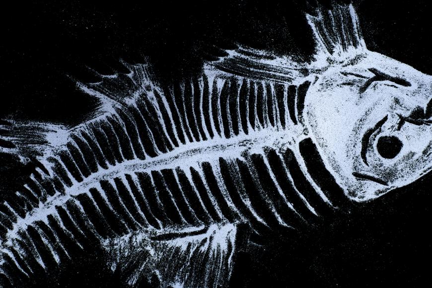 Media Name: 25995f60-0bae-4810-94a1-5ef646a036c9.jpg