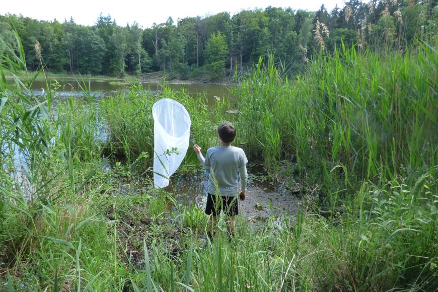 Media Name: 2712e041-e904-4e31-a635-60d8eeca498a.JPG