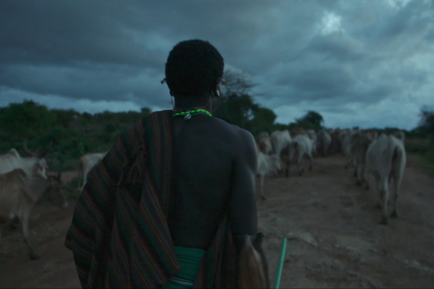 Filmstill The Battle for Laikipia