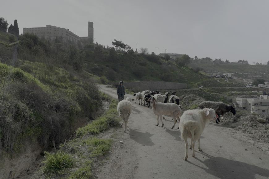 Filmstill Jerusalem Boys
