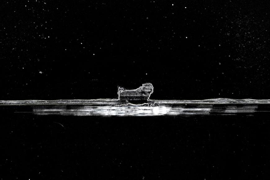 Filmstill Au Revoir, Pugs