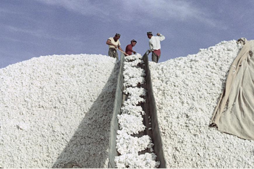 Filmstill The Story of My Shirt