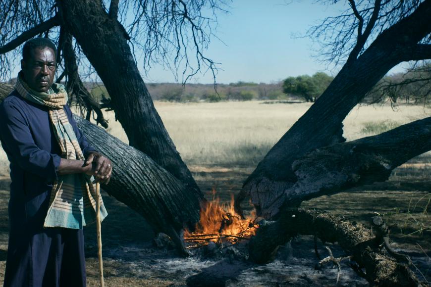 Media Name: 40d55796-ed34-42a5-9f8c-20ea15595822.jpg