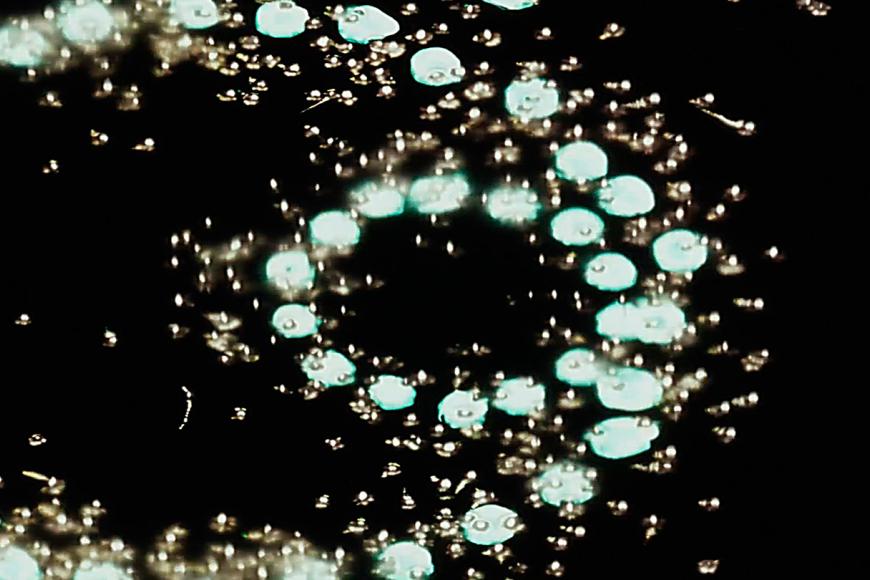 Filmstill Intersextion