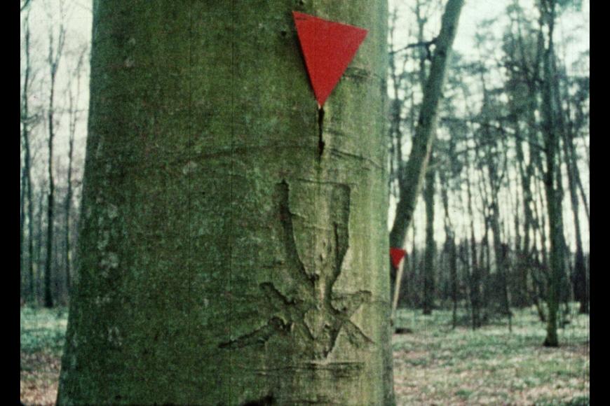 Media Name: 4be55e5b-3ada-469e-80fa-bc58a8cfebd9.jpg