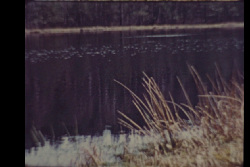 Filmstill Lebendes Moor