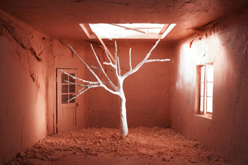Filmstill Lemon Tree