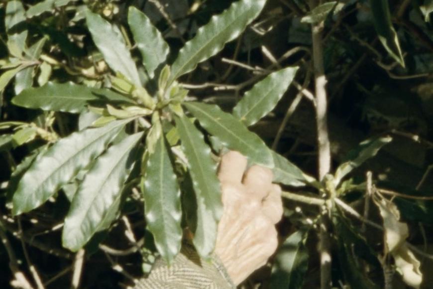 Media Name: 60434488-b055-4709-91e1-8427f67dced9.jpg