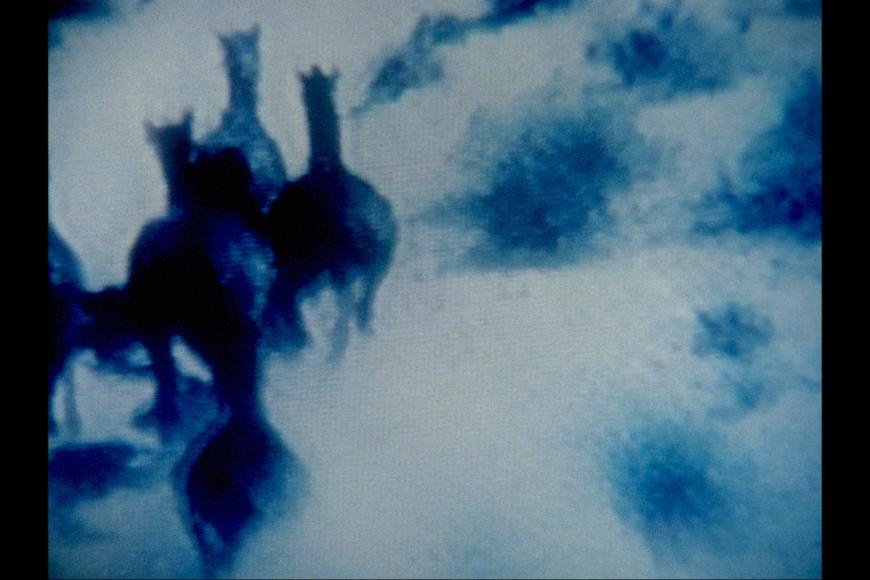 Filmstill Womannightfilm