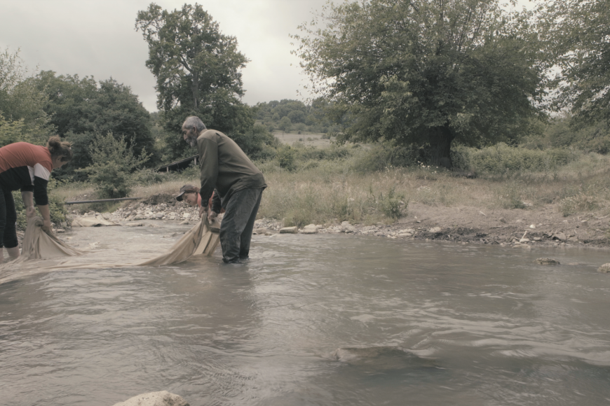 Media Name: 6d95fb19-ad39-4e95-8c97-98446373da0e.png