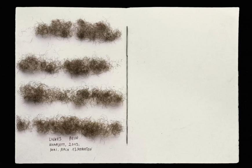 Media Name: 77317203-261f-4fb1-9754-3d16f8a724e9.jpg