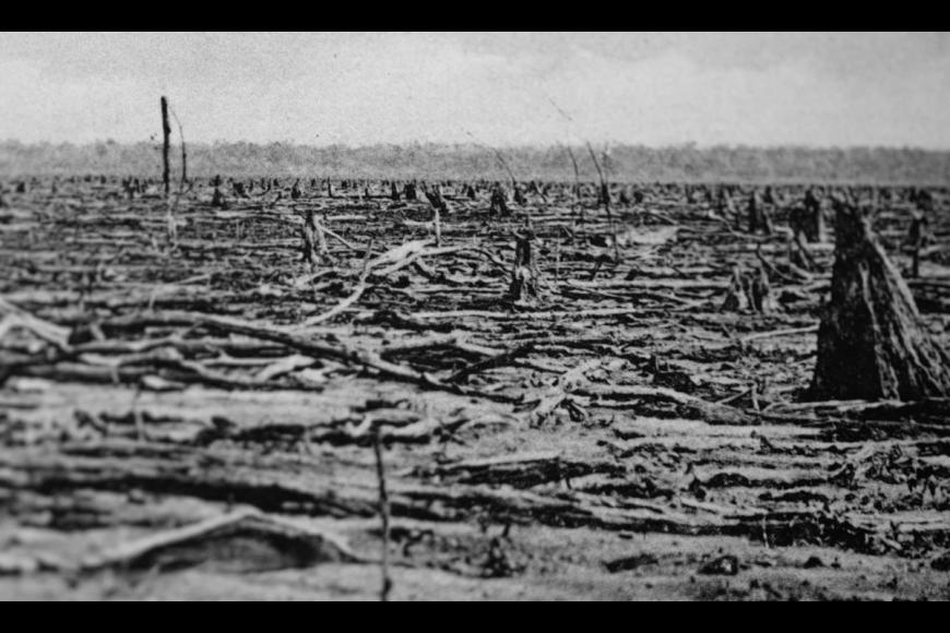 Filmstill On Taphonomy
