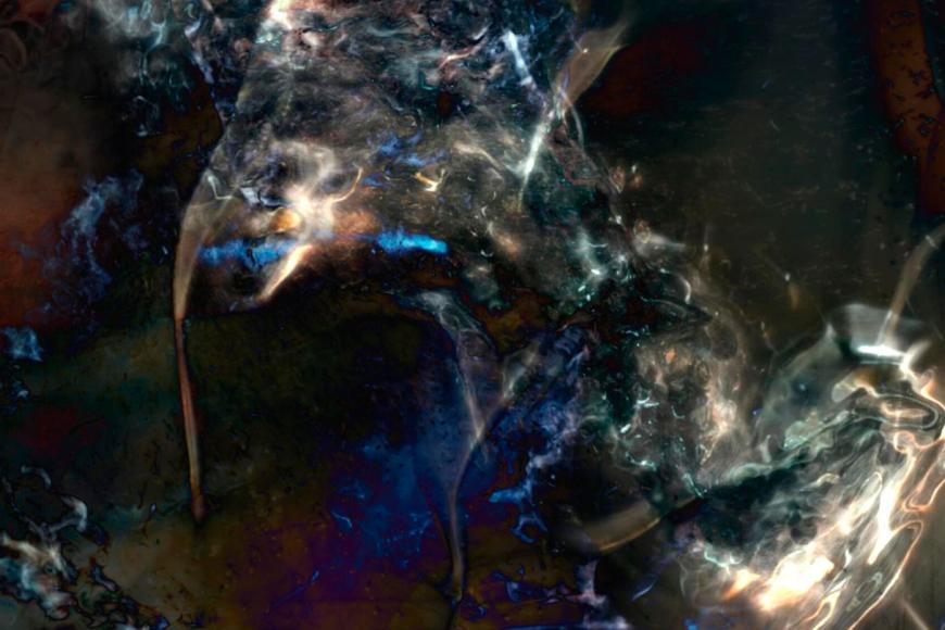 Filmstill Evanescencia