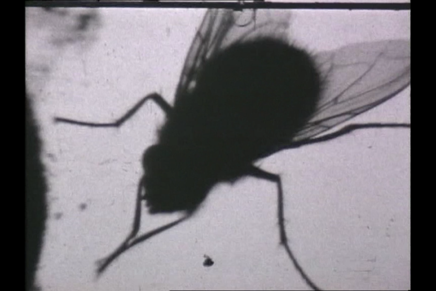 Filmstill Report
