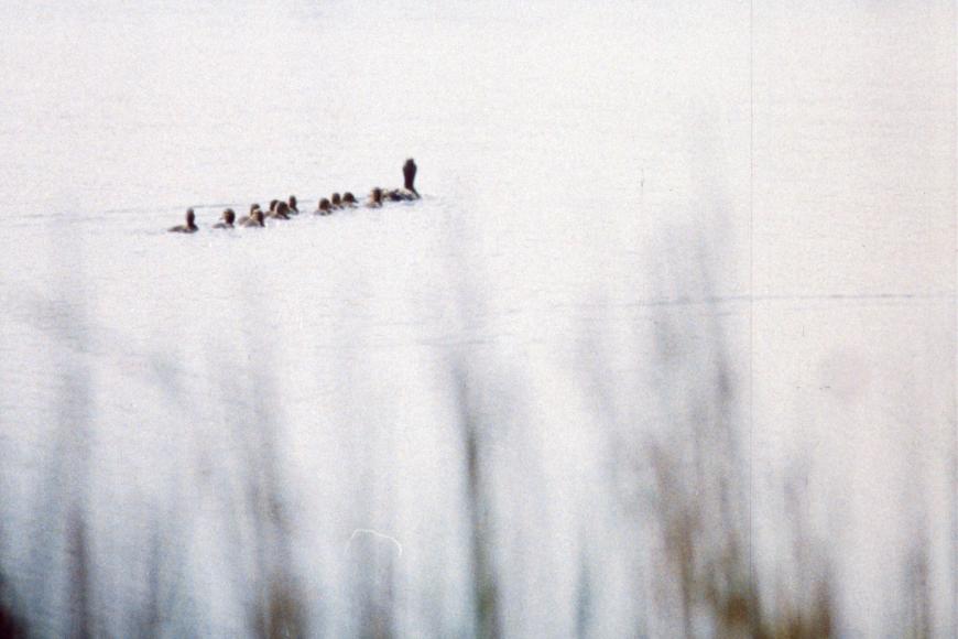 Media Name: 872cff75-47ad-462e-a47e-d58fd5563879.jpg