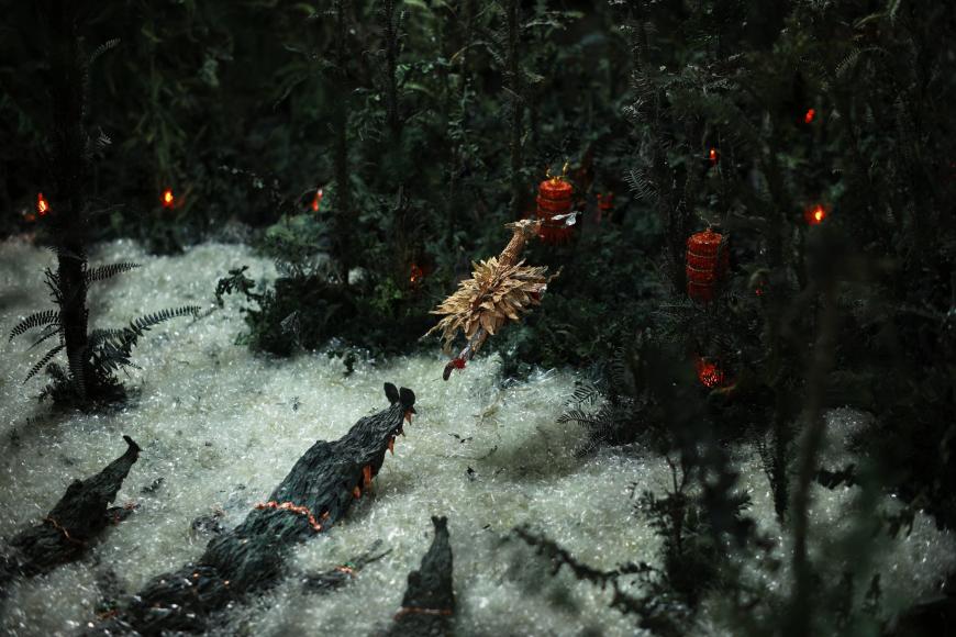 Filmstill Compound Eyes of Tropical