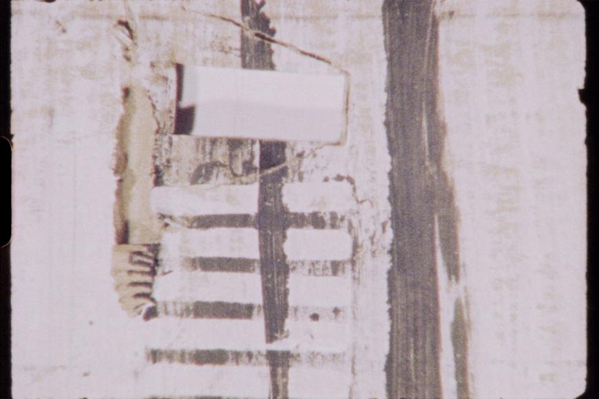 Filmstill The Immortality of the Crab