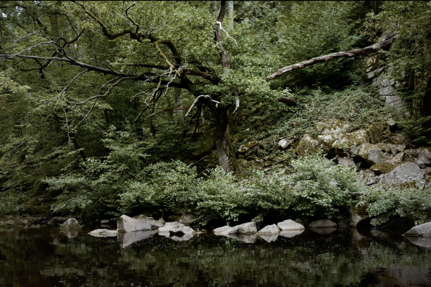 Filmstill Becoming River