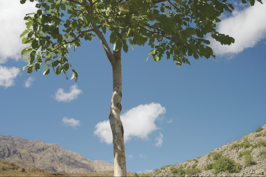 Filmstill You Don’t Look Nothing Alike