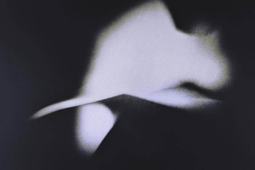 Filmstill Cineforms
