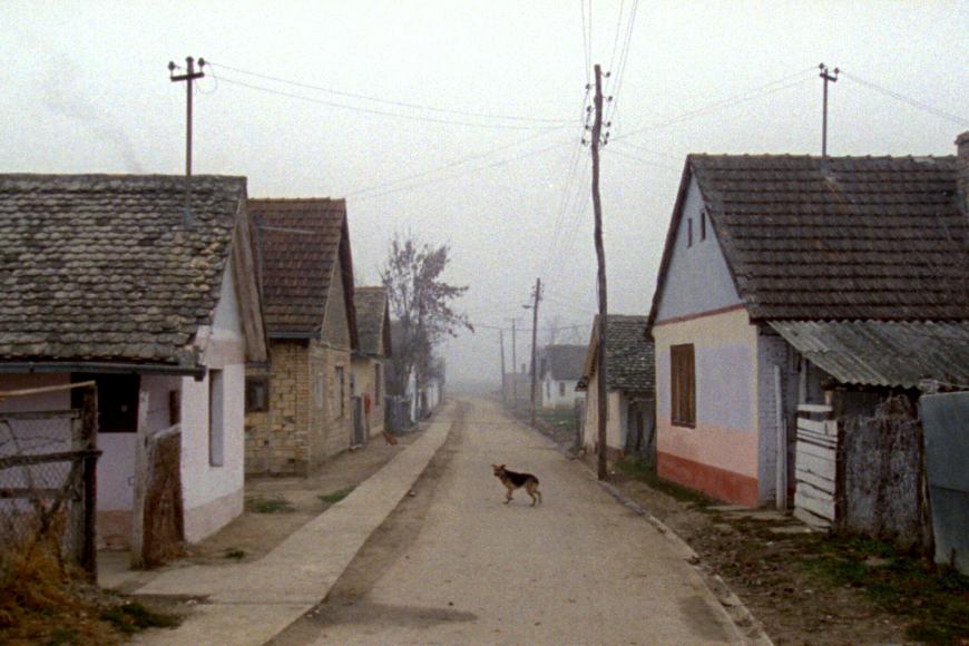 Filmstill Karpotrotter